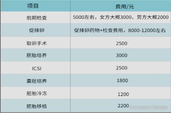 泰国代孕要花多少费用